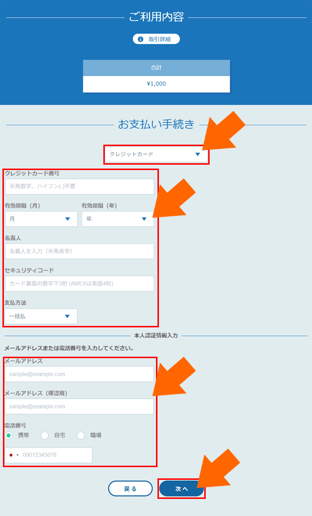 お支払い手続き入力画面