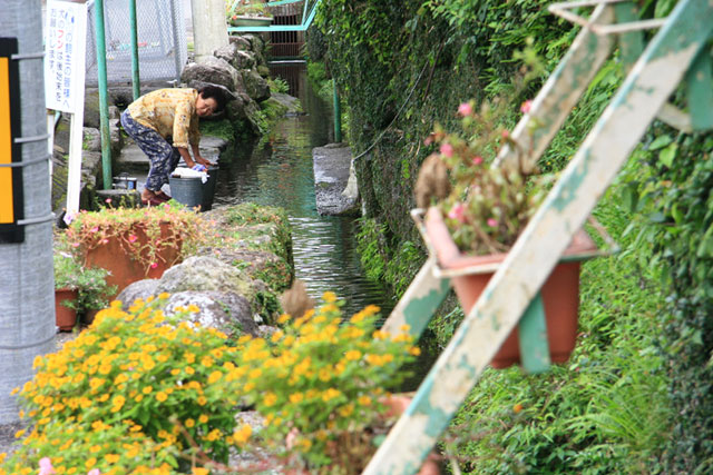 上の川湧水