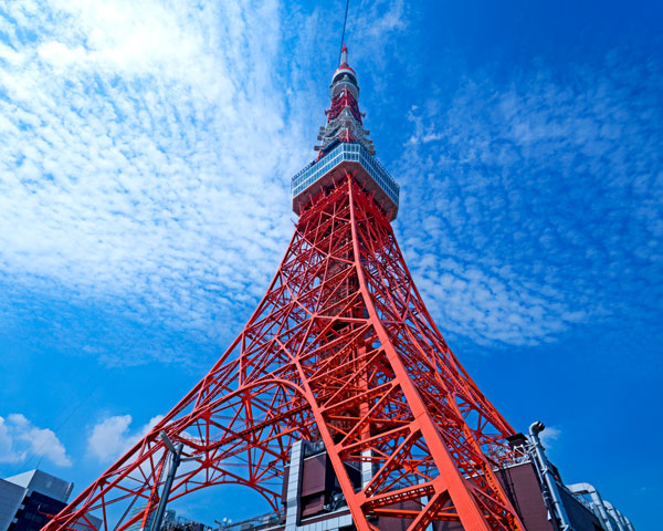 北海道グルメバスで行く東京観光ツアー