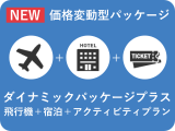 ダイナミックパッケージ