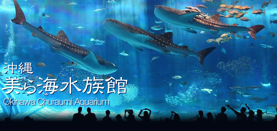 沖縄美ら海水族館