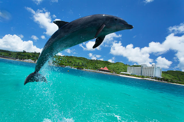 サウナ付スパ 浜の湯