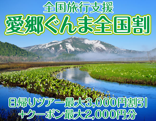 愛郷ぐんま全国割対象の群馬ツアー特集