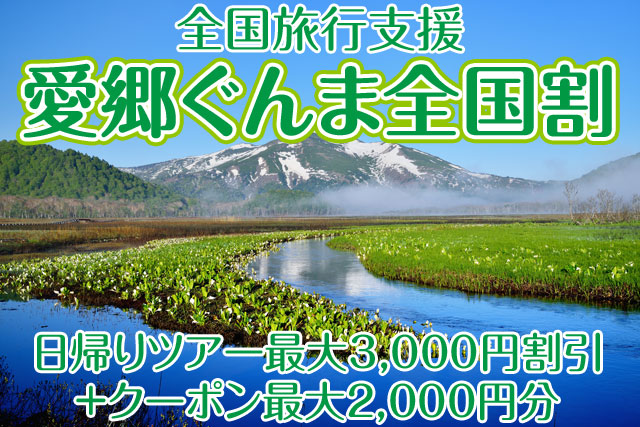 愛郷ぐんま全国割