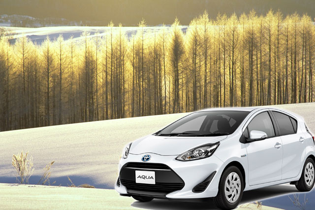 新富良野プリンスホテル＆札幌