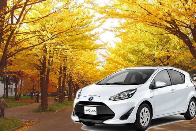 滞在中ハイブリッドレンタカー付プラン