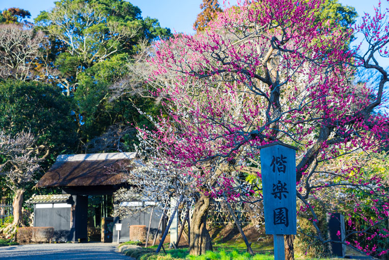 偕楽園