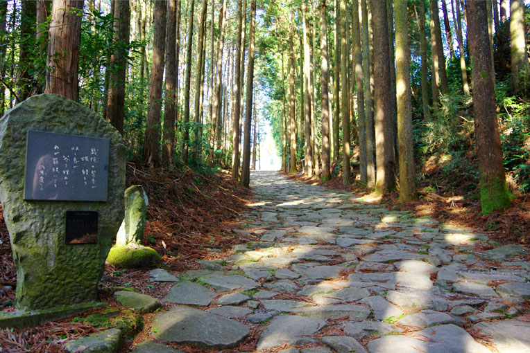 元箱根旧街道杉並木