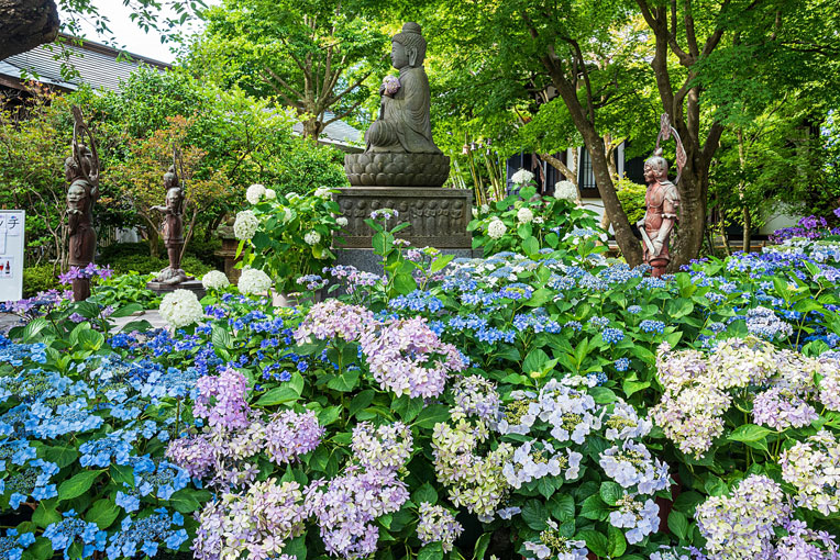 長谷寺（海光山慈照院長谷寺）