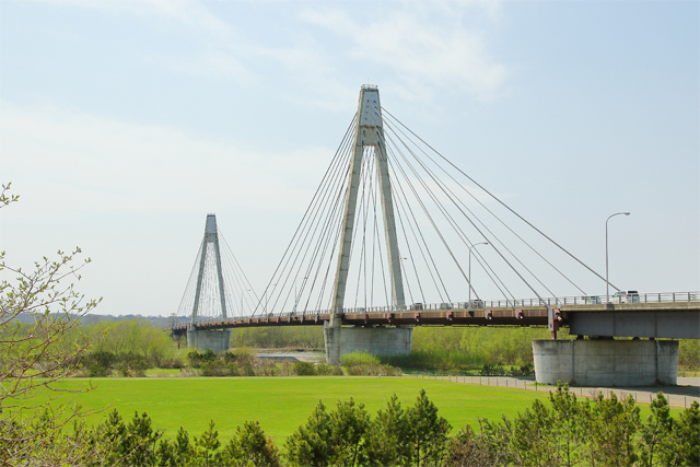 十勝川温泉に架かる十勝中央大橋（白鳥大橋）