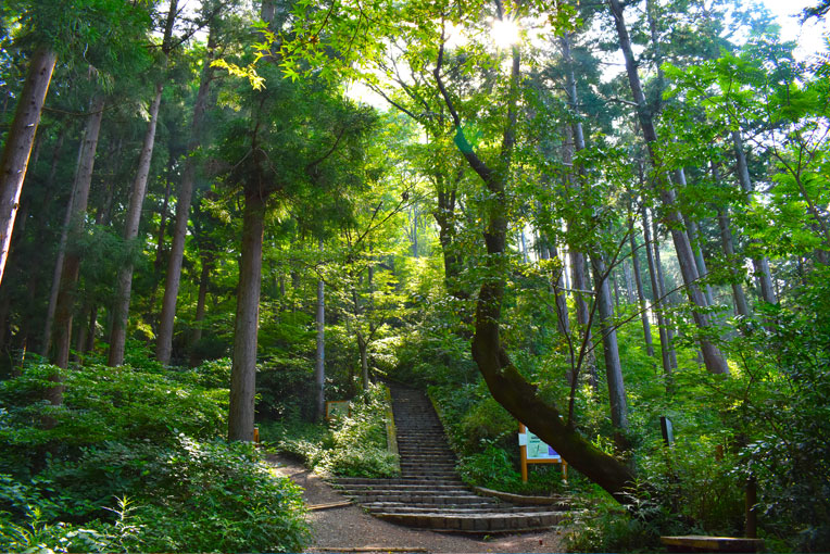 高尾山の四季