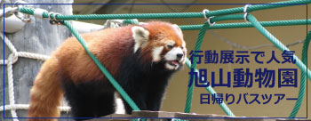 旭山動物園