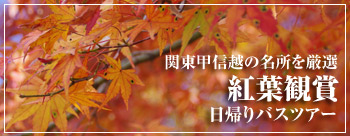 紅葉観賞バスツアー
