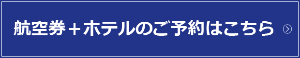 飛行機のご予約はこちら